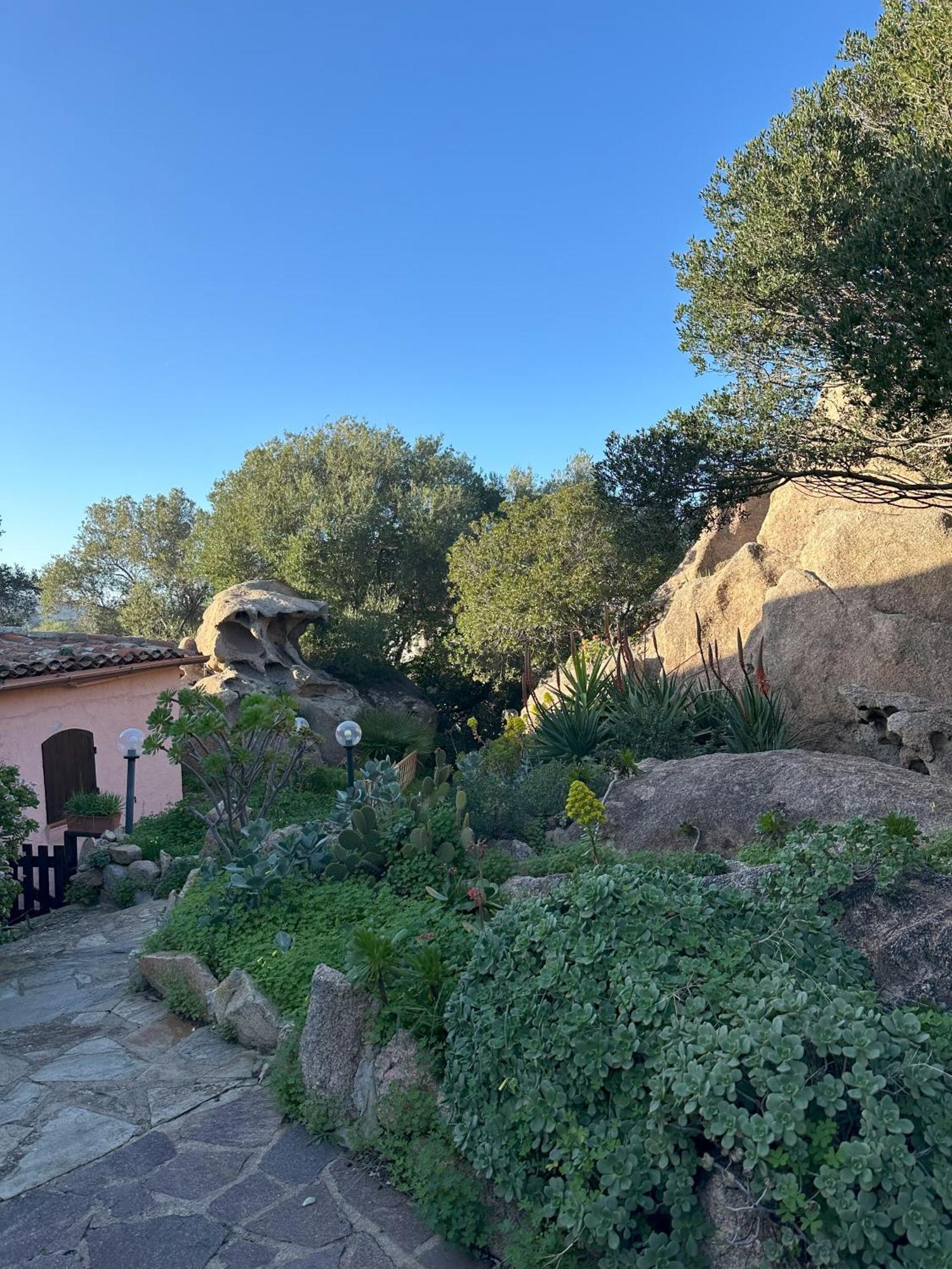 L'Olivastro Appartamenti A Porto Cervo Buitenkant foto