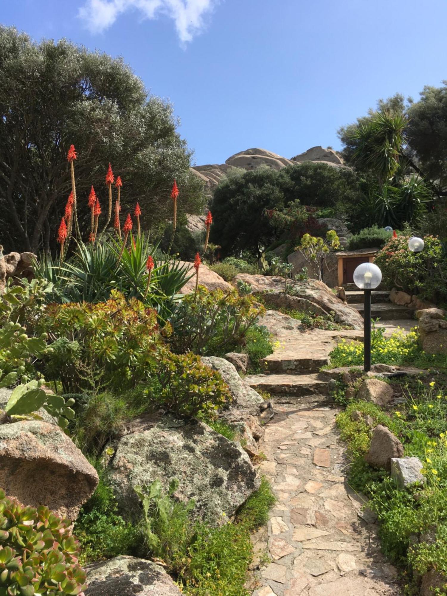L'Olivastro Appartamenti A Porto Cervo Buitenkant foto