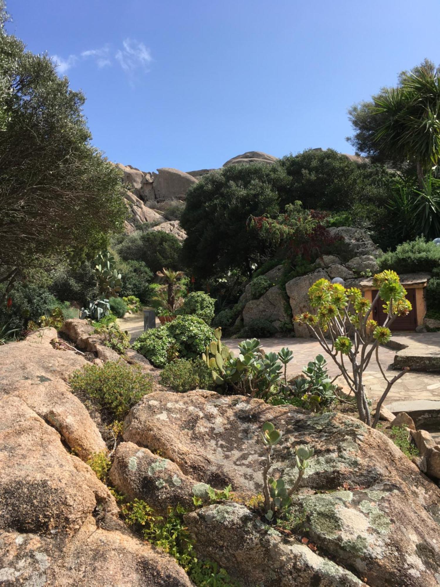 L'Olivastro Appartamenti A Porto Cervo Buitenkant foto