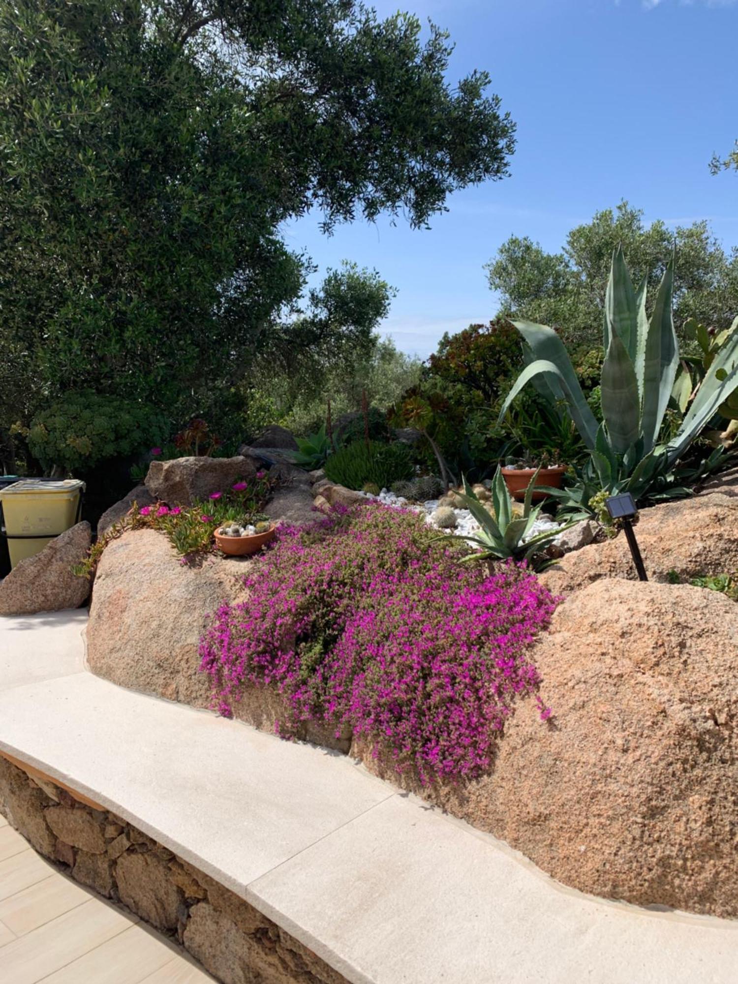 L'Olivastro Appartamenti A Porto Cervo Buitenkant foto